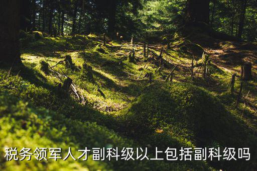 稅務領軍人才副科級以上包括副科級嗎