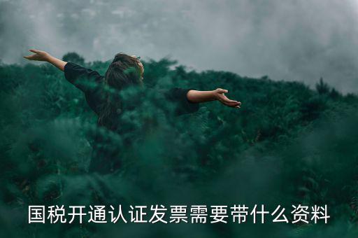 國(guó)稅開(kāi)通認(rèn)證發(fā)票需要帶什么資料