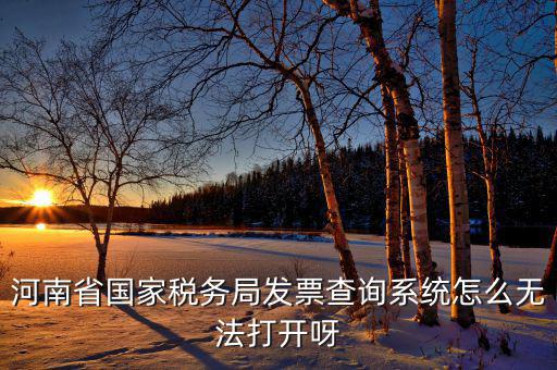 河南一體化辦稅為什么辦不成，河南省國家稅務(wù)局發(fā)票查詢系統(tǒng)怎么無法打開呀