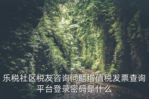 發(fā)票認證平臺登陸密碼是什么，國稅局發(fā)票軟件里用戶代碼和密碼是什么