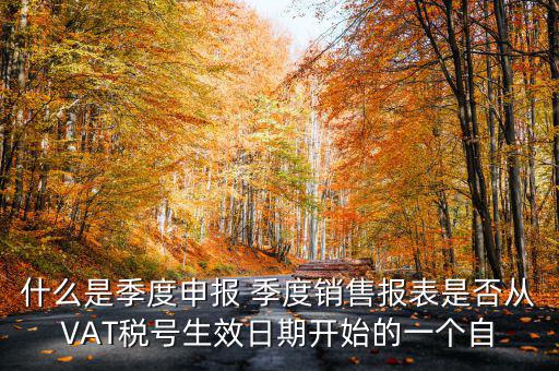 什么是季度申報(bào)表，有關(guān)企業(yè)申報(bào)的季度報(bào)表