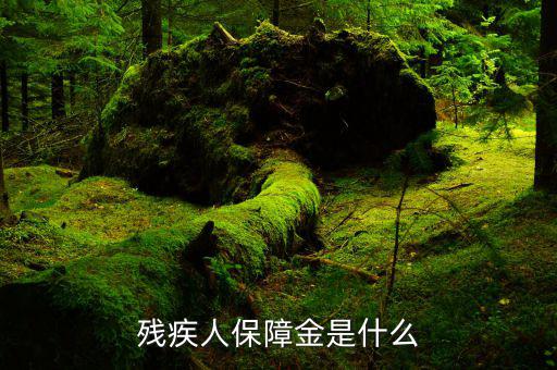 什么叫殘疾人就業(yè)保障金，殘疾人就業(yè)保障金
