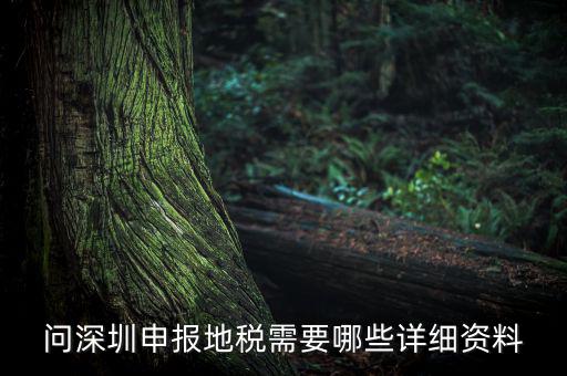 深圳市的地稅申報(bào)是什么，深圳市地稅怎么申報(bào)