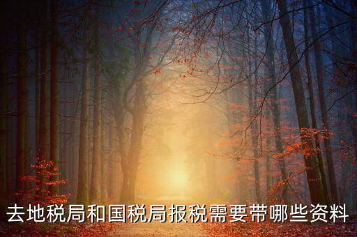 國稅報稅需要什么材料，去地稅局和國稅局報稅需要帶哪些資料