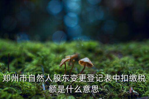 扣繳稅款登記是什么意思，應當按照稅收征管法等有關規(guī)定辦理扣繳稅款登記領取扣繳憑