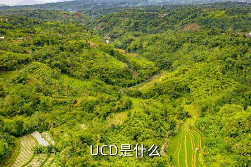 維簡費(fèi)是什么，擔(dān)保法中的孽息是什么