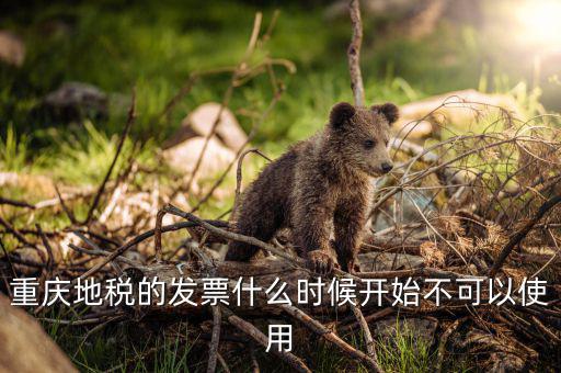 地稅運輸客票什么時候停用，地稅舊版本發(fā)票什么時候作廢