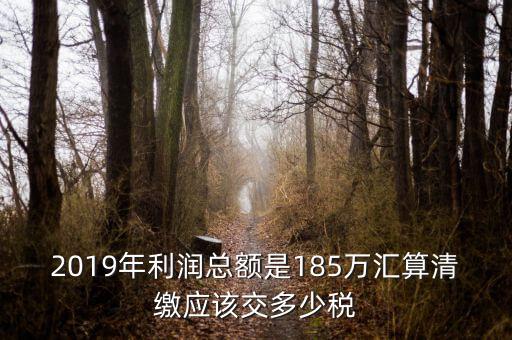 匯算清繳交什么稅，年度匯算清繳應(yīng)交稅率是多少