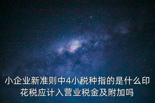 地稅小稅種什么意思，小規(guī)模納稅人地稅一般報什么稅種