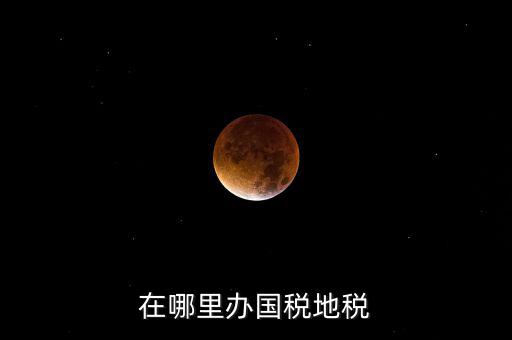 什么在地稅辦，在哪里辦國(guó)稅地稅