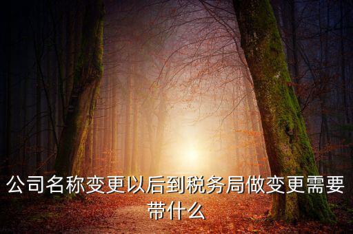 公司名稱變更以后到稅務局做變更需要帶什么