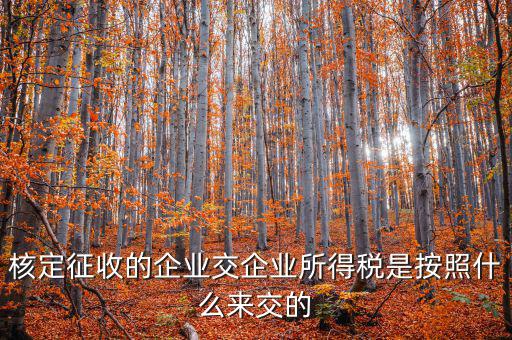 核定稅稅率是按照什么作參照的，稅率按照哪個來定