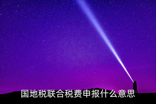 國稅地稅聯(lián)合有什么用，國地稅聯(lián)合稅費申報什么意思