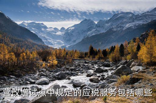 應(yīng)稅服務(wù)中止指什么，小規(guī)模申報(bào)表中應(yīng)稅服務(wù)什么意思
