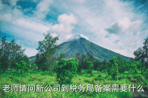 稅務報備需要什么材料，稅務備案需要哪些資料