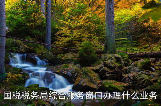 國稅大廳辦理什么業(yè)務(wù)，辦稅大廳都做些什么事