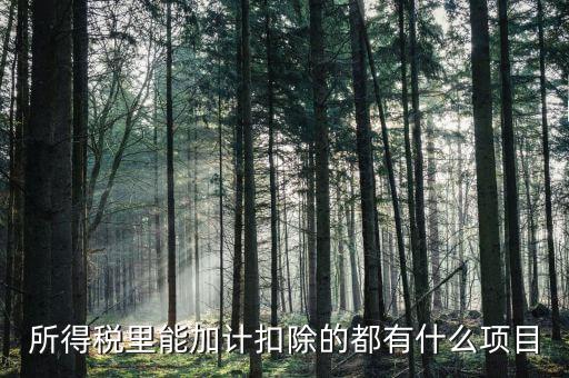 什么企業(yè)加計扣除，人員工資加計扣除政策是什么意思