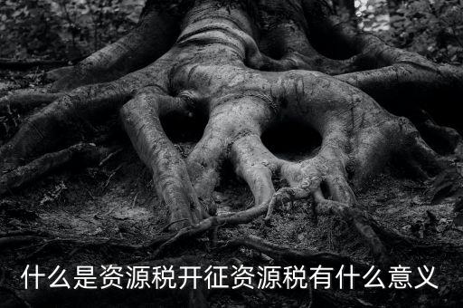 為什么開證資源稅，什么是資源稅開征資源稅有什么意義