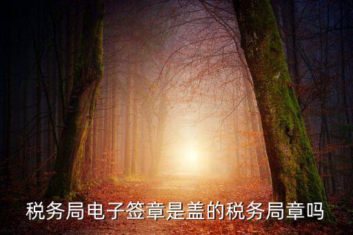 稅務(wù)局電子簽章是什么，在國(guó)稅系統(tǒng)電子簽章時(shí)為什么不是每次都提示輸入口令