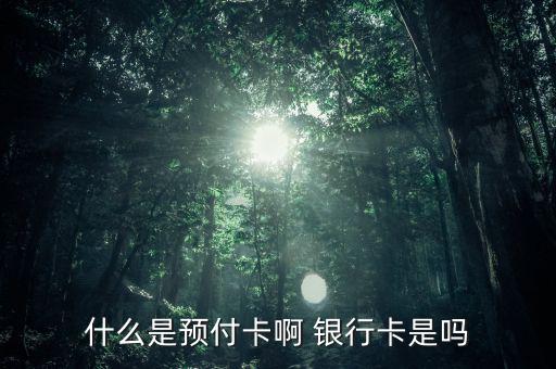 支付機構(gòu)預(yù)付卡是什么意思，銀聯(lián)預(yù)付卡是什么意思