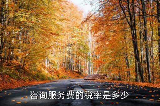 咨詢服務交什么稅，公司收到一筆咨詢費應該如何納稅稅率是多少急謝謝