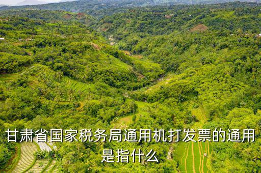 山西省稅務(wù)局六最是指什么，甘肅省國家稅務(wù)局通用機(jī)打發(fā)票的通用是指什么