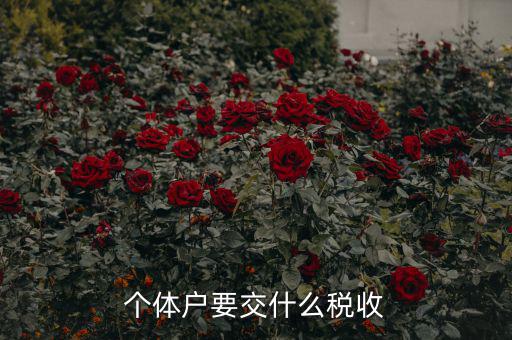 新開個體戶要交什么稅，我想開個小店當個體戶請問要交什么稅