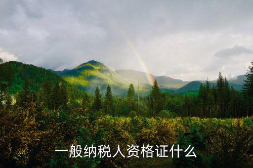 一般納稅人資格證什么