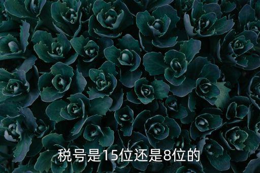 稅號(hào)是15位還是8位的