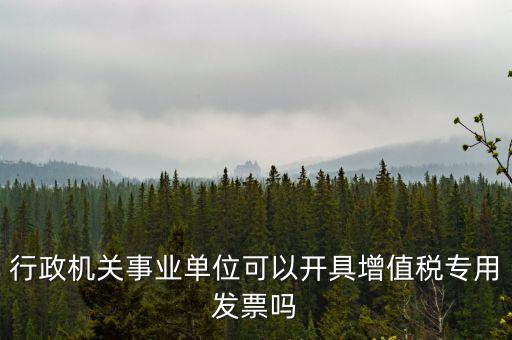 行政機(jī)關(guān)事業(yè)單位可以開(kāi)具增值稅專用發(fā)票嗎