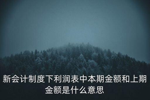 新會(huì)計(jì)制度下利潤(rùn)表中本期金額和上期金額是什么意思