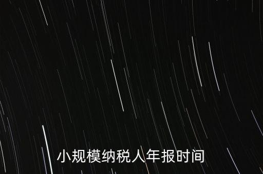 納稅申報(bào)年報(bào)什么時(shí)候，小規(guī)模納稅人年報(bào)時(shí)間