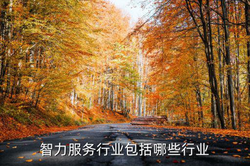 涉稅專業(yè)服務(wù)機構(gòu)包括什么，智力服務(wù)行業(yè)包括哪些行業(yè)