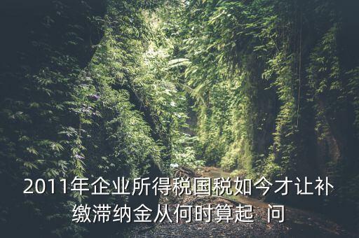 納稅滯納金什么時(shí)候算，企業(yè)所得稅滯納金計(jì)算從何時(shí)開始計(jì)算