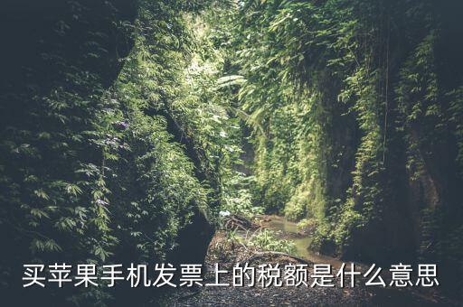 發(fā)票上的稅額是什么意思，買蘋果手機(jī)發(fā)票上的稅額是什么意思