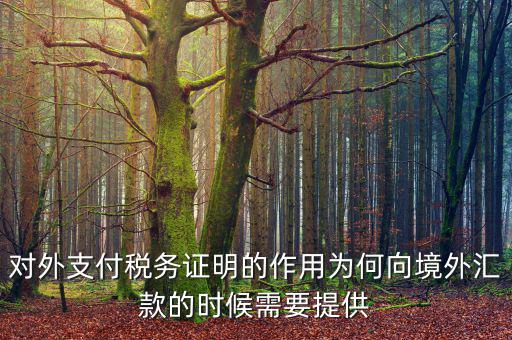 對外支付稅務(wù)證明的作用為何向境外匯款的時(shí)候需要提供
