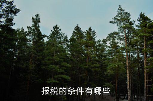 集團(tuán)公司的申報(bào)納稅有什么要求，公司申請(qǐng)申請(qǐng)一般納稅人需要條件