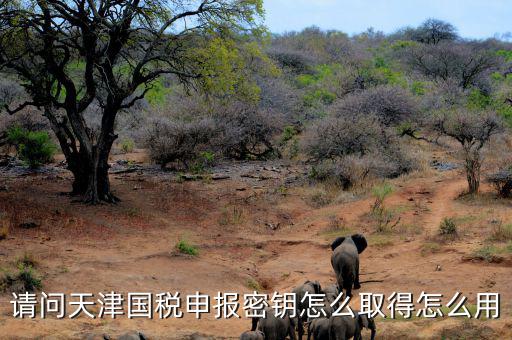 請(qǐng)問(wèn)天津國(guó)稅申報(bào)密鑰怎么取得怎么用