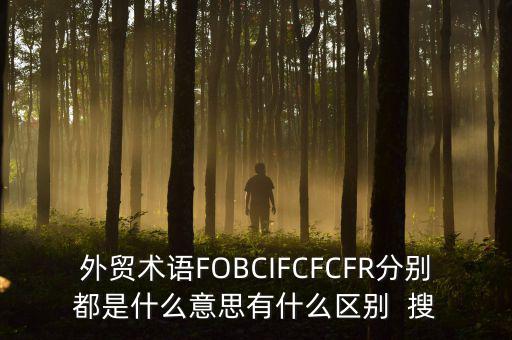 什么是被指定國別報告，什么是SGS