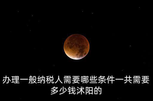 納稅人需求是什么，申請一般納稅人有什么要求嗎需滿足哪些條件華廈投資可以代為申