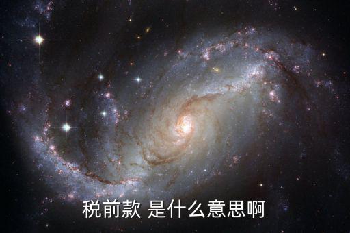 稅前金額是什么意思，稅前款 是什么意思啊