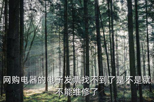 為什么電子發(fā)票找不到了，網(wǎng)購(gòu)電器的電子發(fā)票找不到了是不是就不能維修了