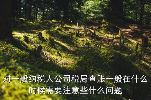 一般地稅稽查會在什么時候，稅務(wù)局什么時候會查賬不申報有哪些后果
