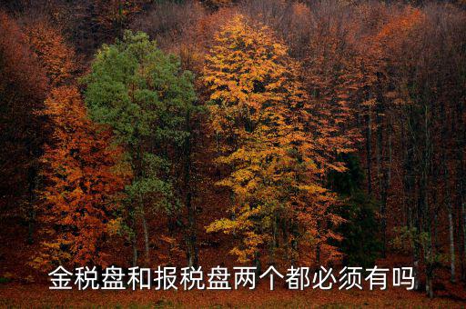 申報盤是什么，保險兼業(yè)代理人資格申報電腦數(shù)據(jù)盤是什么意思