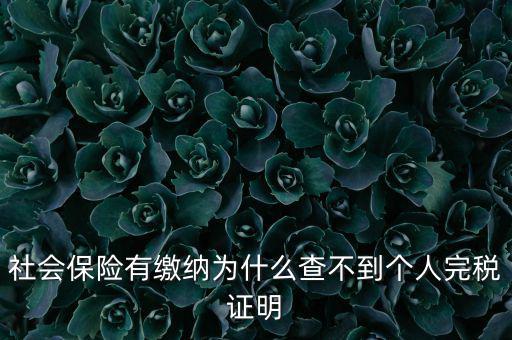 為什么查不到納稅記錄，社會(huì)保險(xiǎn)有繳納為什么查不到個(gè)人完稅證明