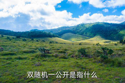 稅務雙隨機一公開是什么意思，雙隨機一公開屬于什么用語比如習語標語或者成語之類的因為