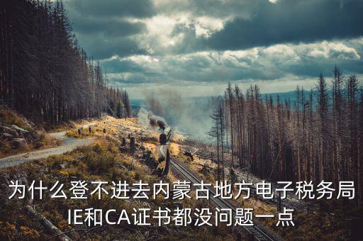 為什么ca登不了電子稅務局，國稅數(shù)字證書登陸失敗請問什么原因