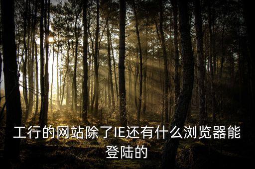 開(kāi)票登陸的瀏覽器是什么，工行的網(wǎng)站除了IE還有什么瀏覽器能登陸的
