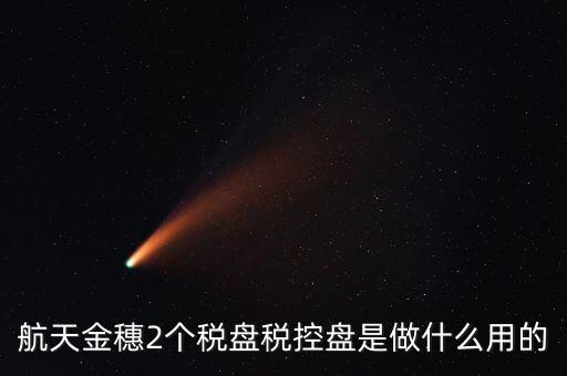 開票軟件兩盤是什么，第二個(gè)金稅盤裝開票軟件裝不了也沒有完全安裝這一步啥意思