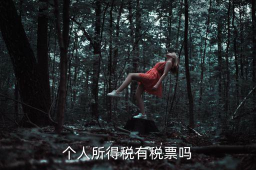 個人所得稅是什么發(fā)票，個人所得稅有稅票嗎